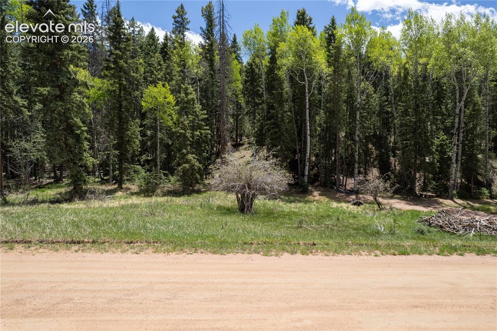 546 Spring Valley Lane Florissant CO 80816