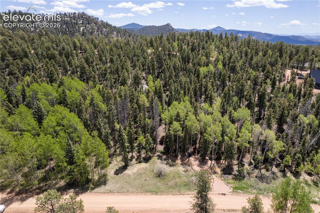 546 Spring Valley Lane Florissant CO 80816