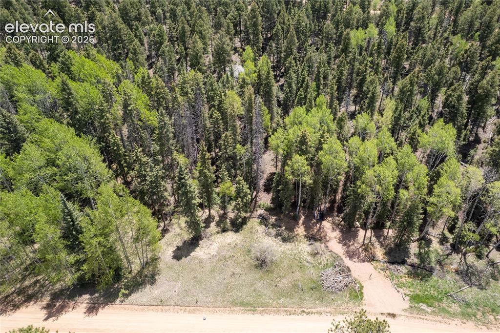 546 Spring Valley Lane Florissant CO 80816