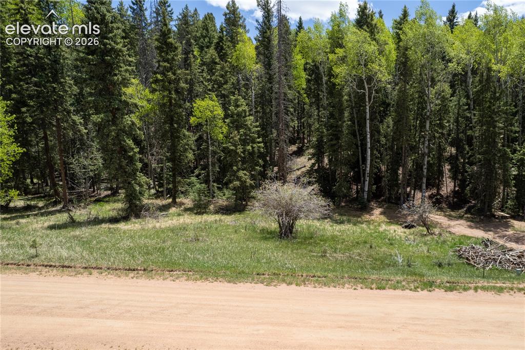 546 Spring Valley Lane Florissant CO 80816