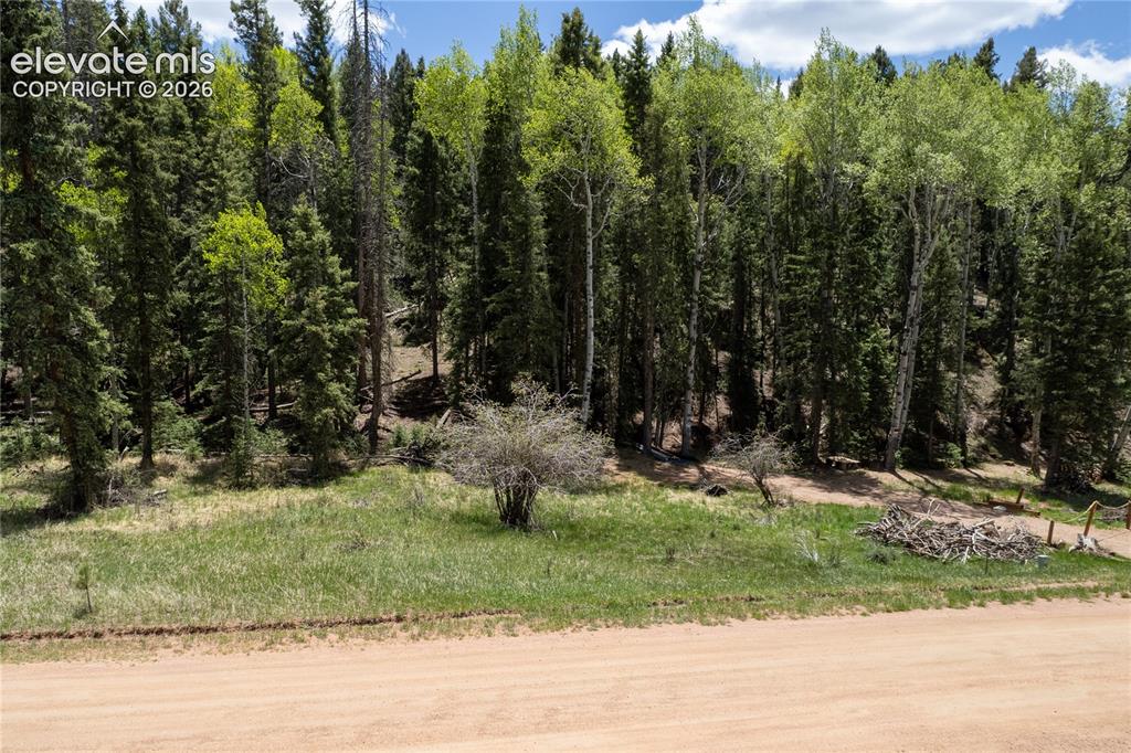 546 Spring Valley Lane Florissant CO 80816