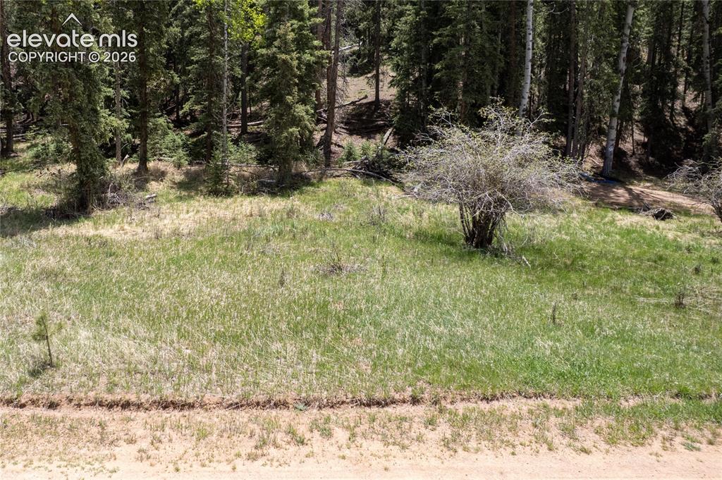 546 Spring Valley Lane Florissant CO 80816
