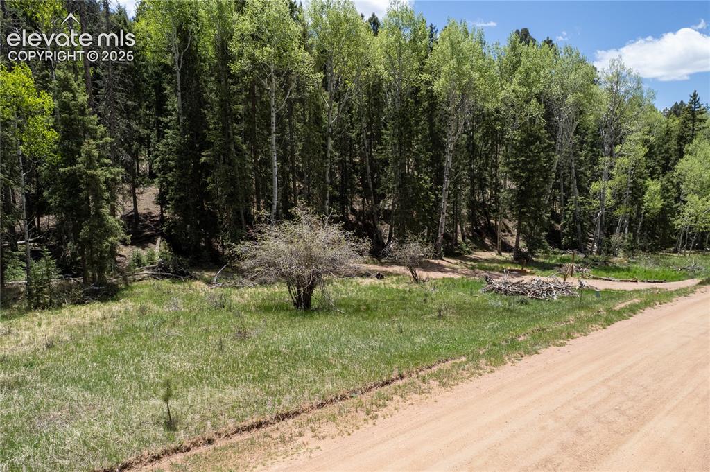 546 Spring Valley Lane Florissant CO 80816