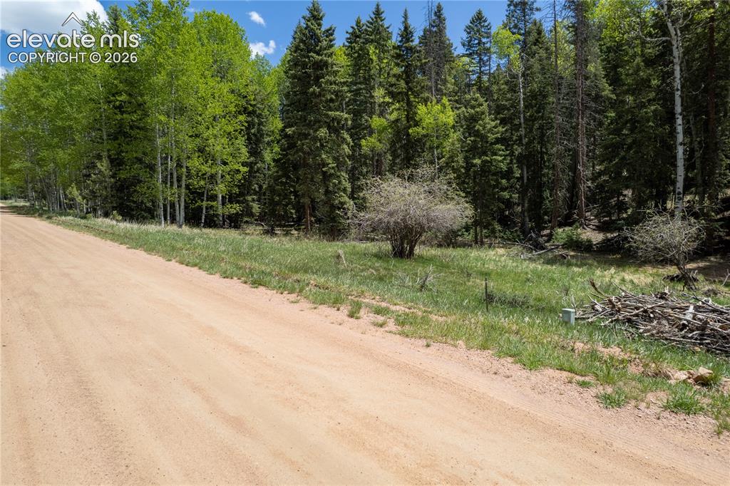 546 Spring Valley Lane Florissant CO 80816