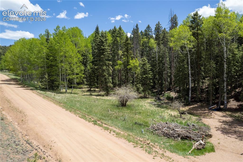 546 Spring Valley Lane Florissant CO 80816