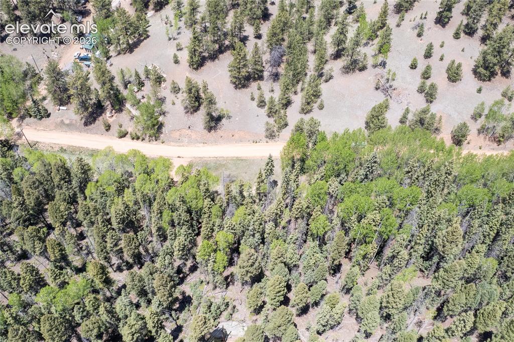 546 Spring Valley Lane Florissant CO 80816