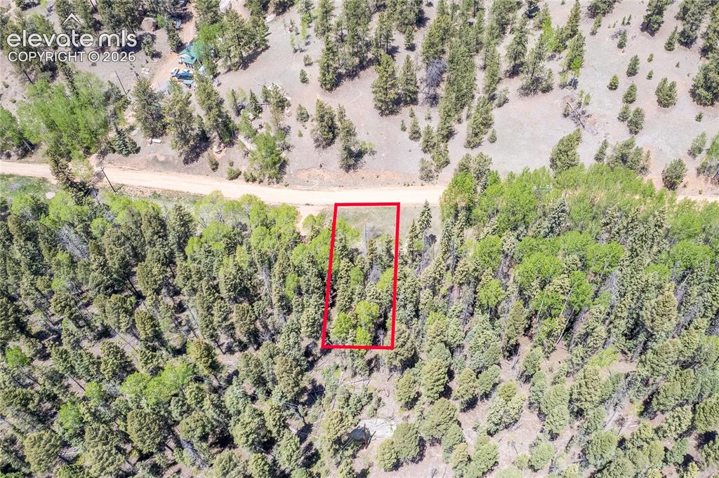 546 Spring Valley Lane Florissant CO 80816