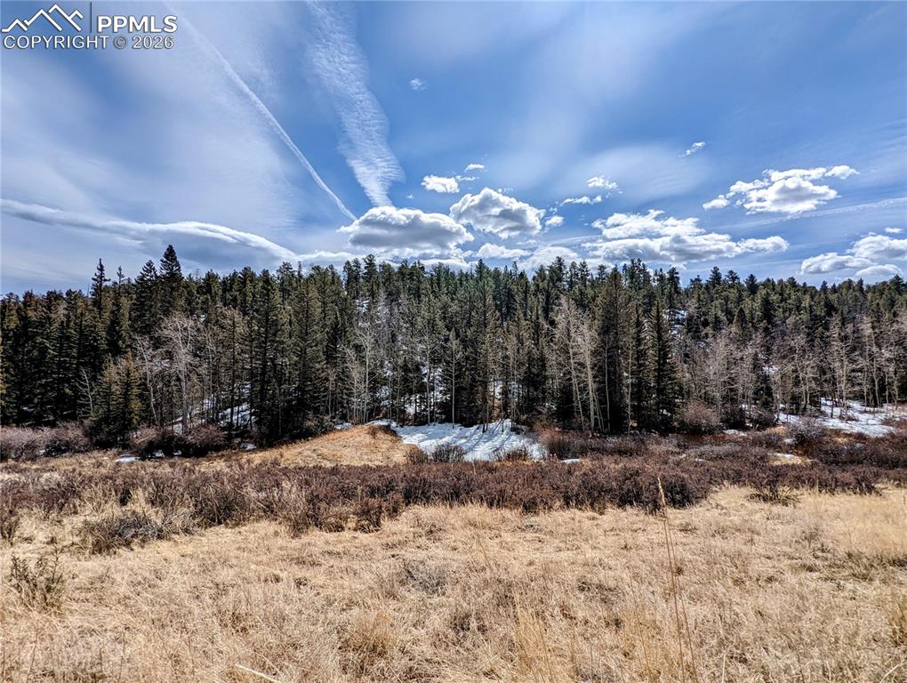 1620 Park Ridge Drive Guffey CO 80820