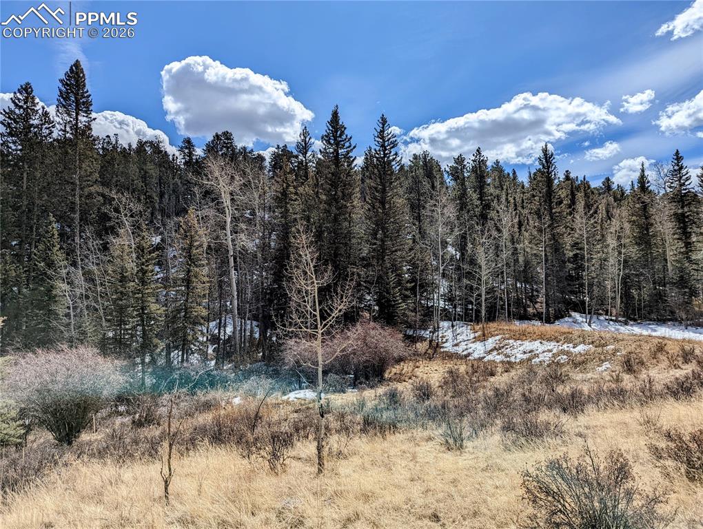 1620 Park Ridge Drive Guffey CO 80820