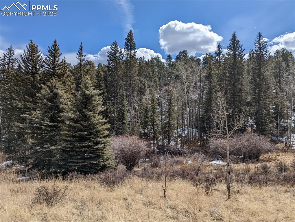 1620 Park Ridge Drive Guffey CO 80820