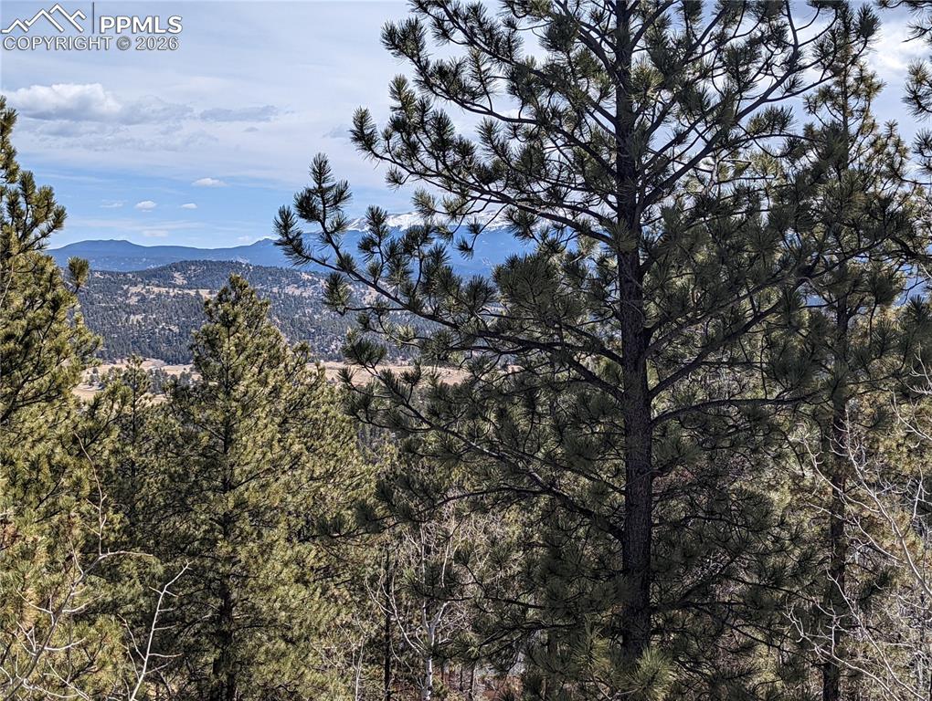 1620 Park Ridge Drive Guffey CO 80820