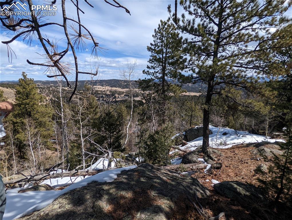 1620 Park Ridge Drive Guffey CO 80820