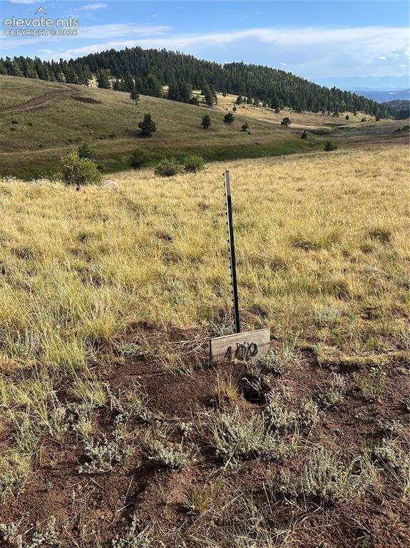 1100 Grumpy Burrow View Cripple Creek CO 80863