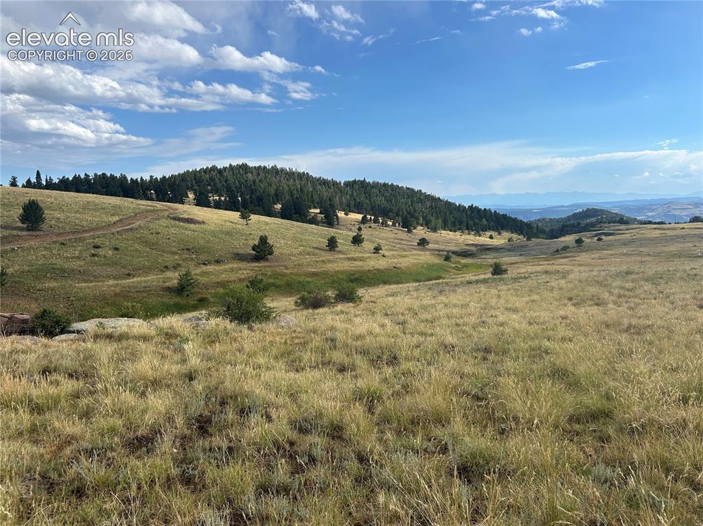 1100 Grumpy Burrow View Cripple Creek CO 80863