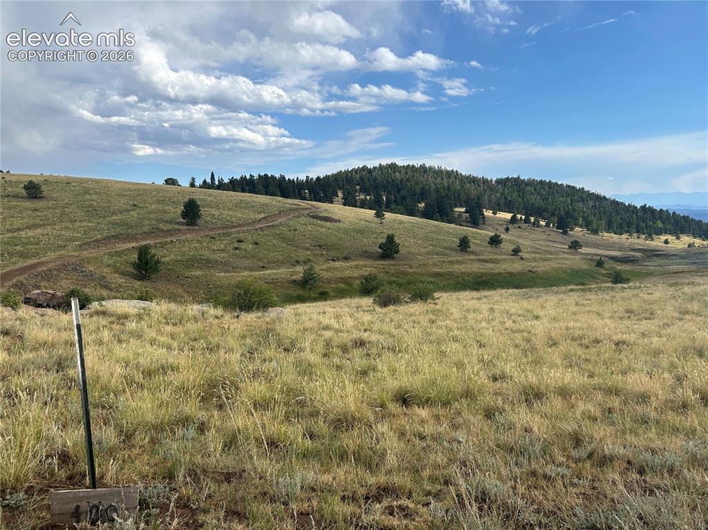 1100 Grumpy Burrow View Cripple Creek CO 80863