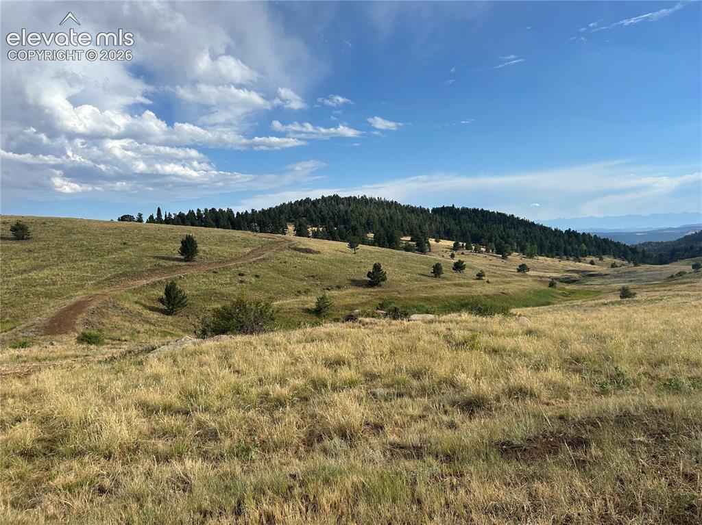 1100 Grumpy Burrow View Cripple Creek CO 80863