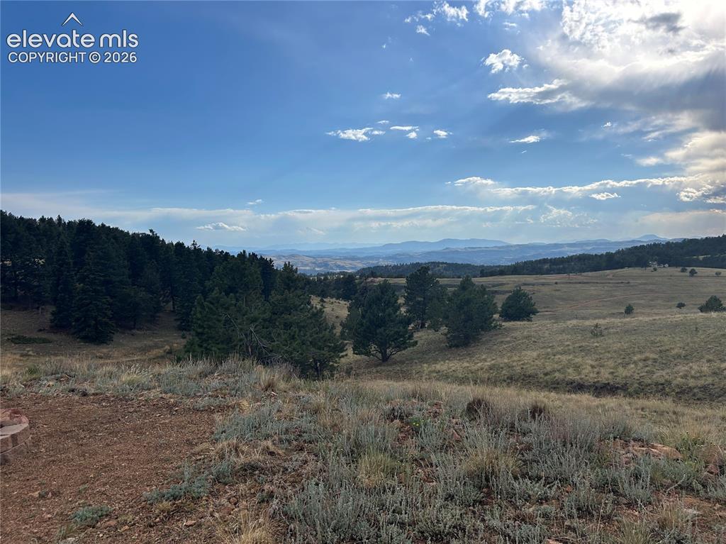 1100 Grumpy Burrow View Cripple Creek CO 80863