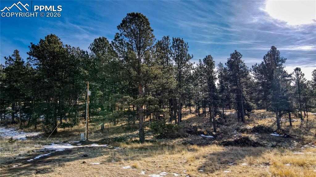 150 High Pasture Road Florissant CO 80816