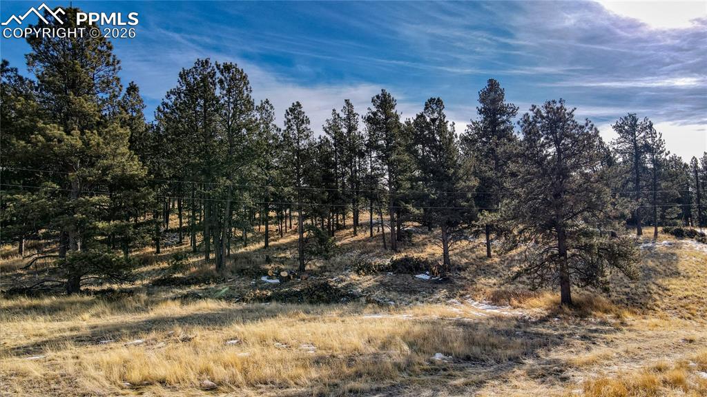 150 High Pasture Road Florissant CO 80816
