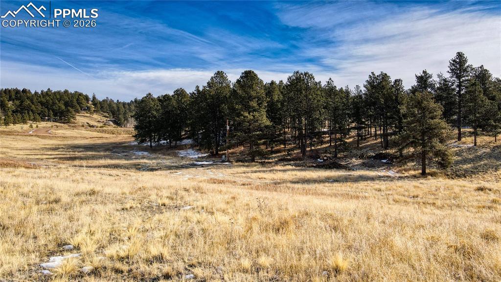 150 High Pasture Road Florissant CO 80816