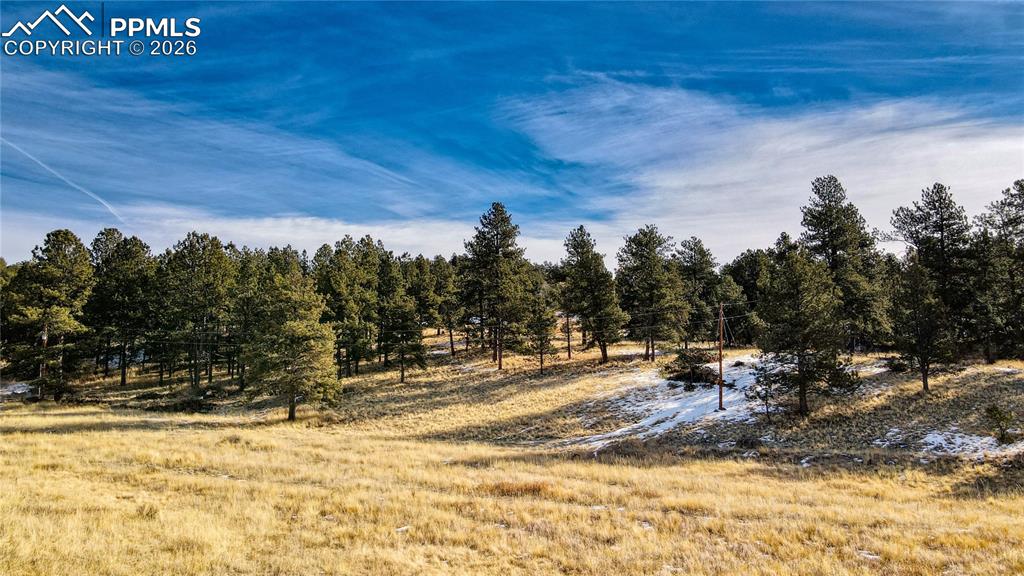 150 High Pasture Road Florissant CO 80816