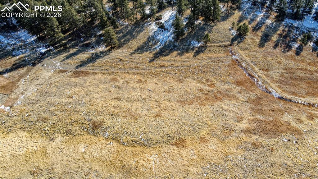 150 High Pasture Road Florissant CO 80816