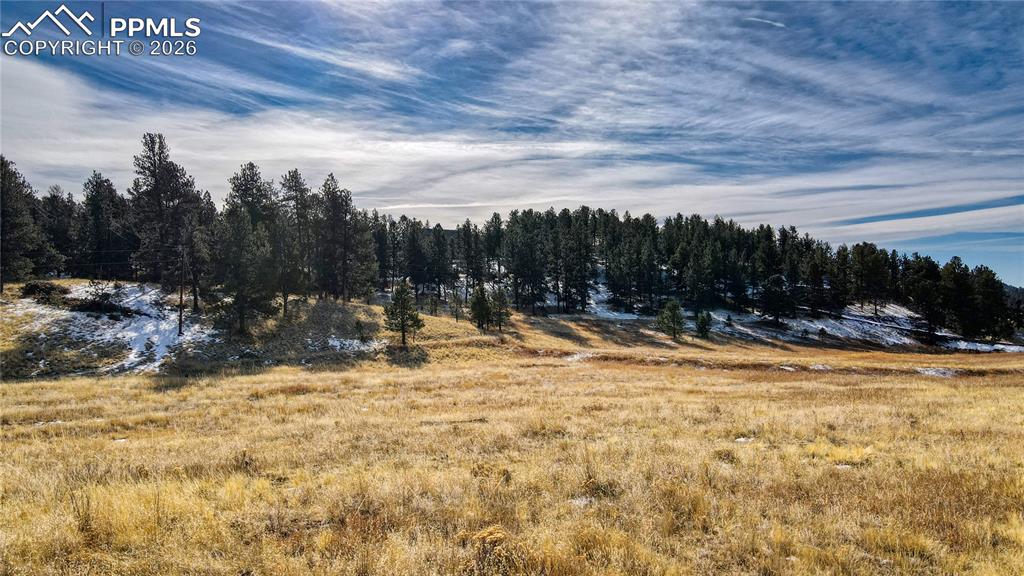150 High Pasture Road Florissant CO 80816