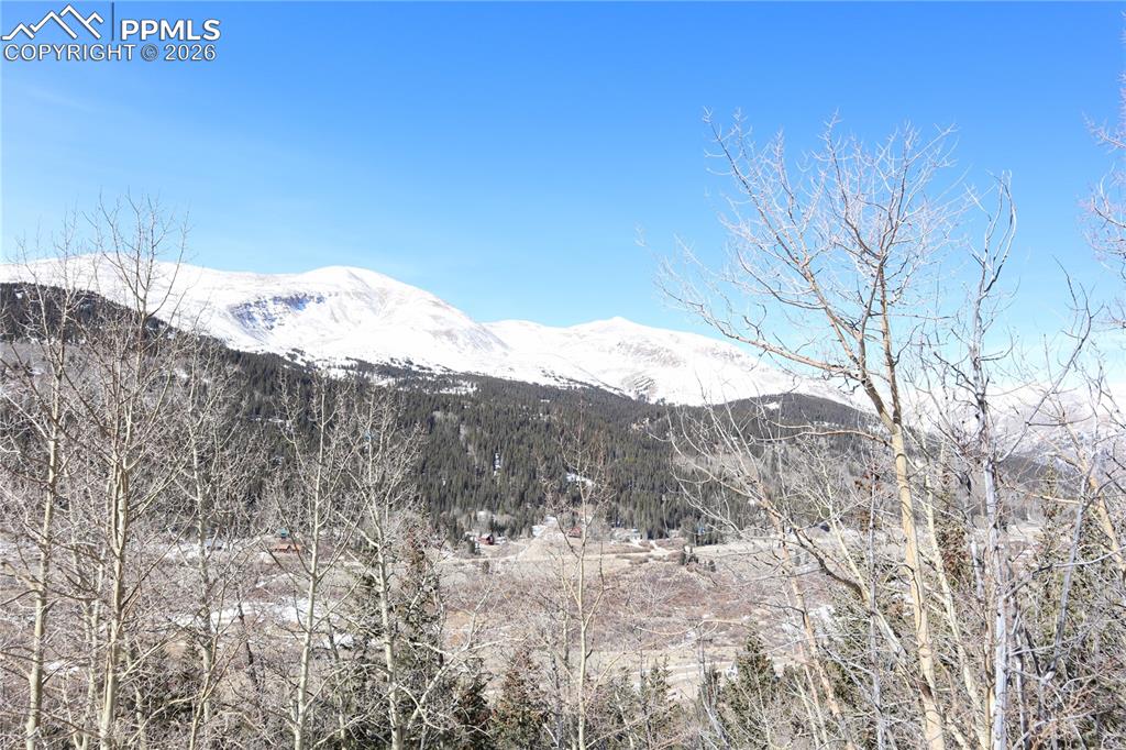 1480 Roberts Road Fairplay CO 80440