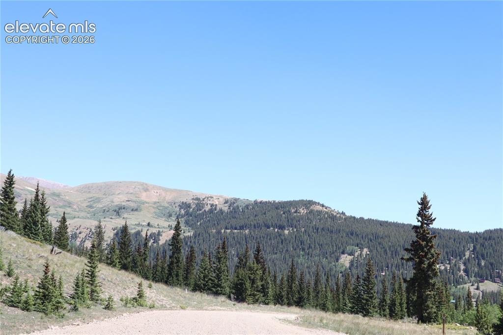 1480 Roberts Road Fairplay CO 80440