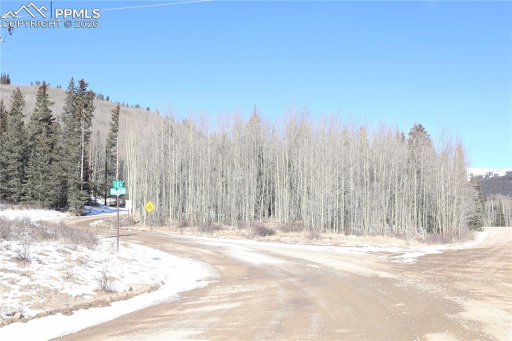 1480 Roberts Road Fairplay CO 80440