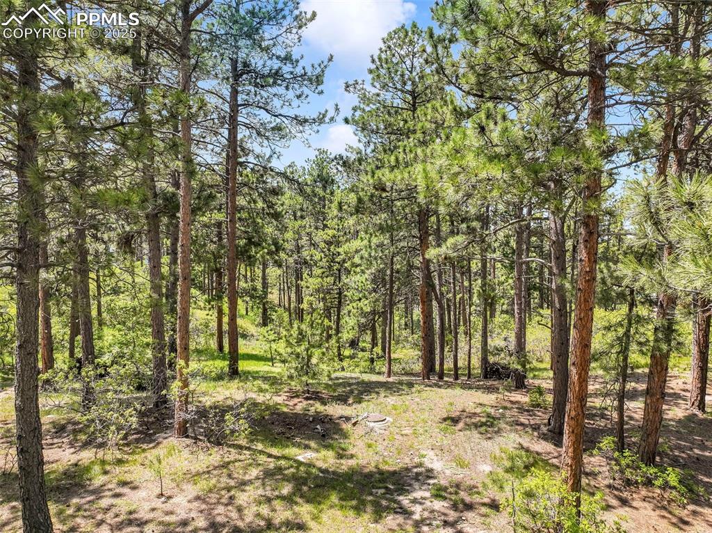 1180 Lone Scout Lookout Monument CO 80132