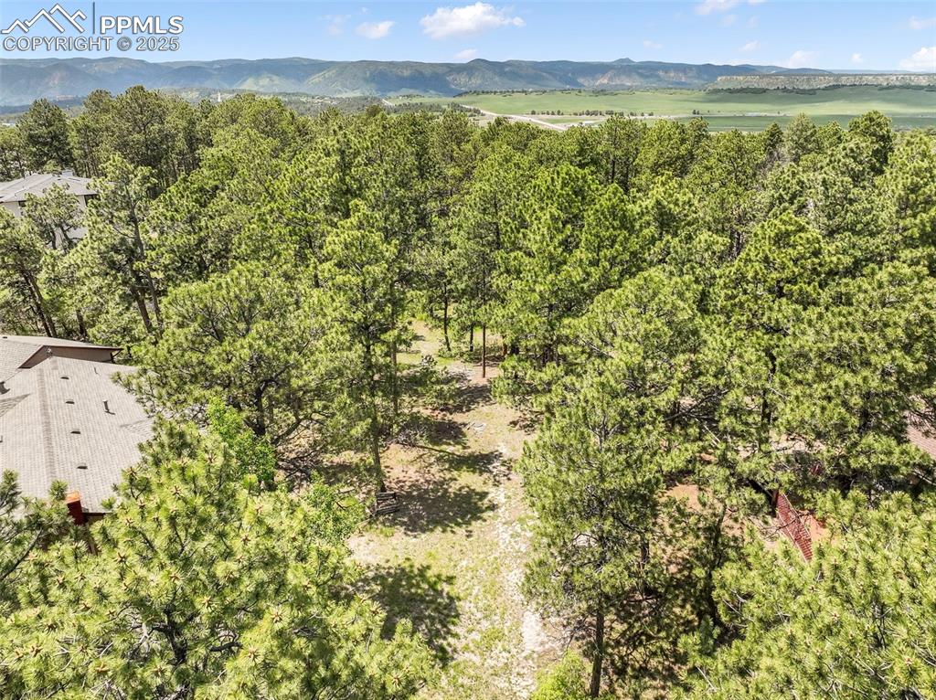1180 Lone Scout Lookout Monument CO 80132