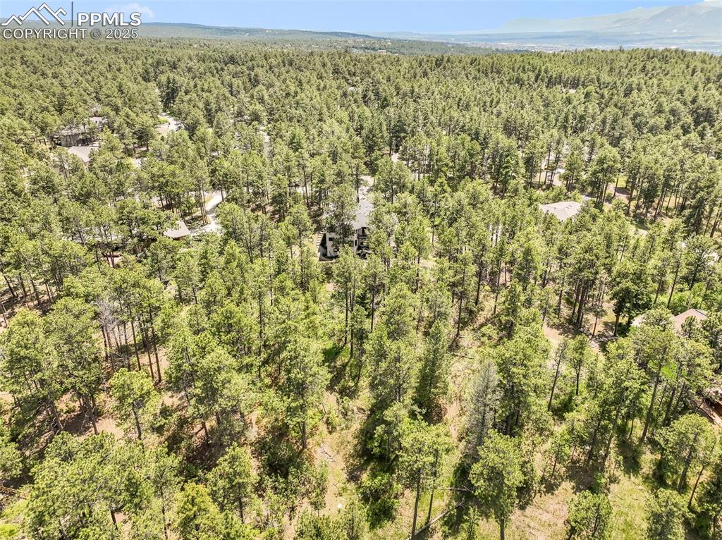 1180 Lone Scout Lookout Monument CO 80132
