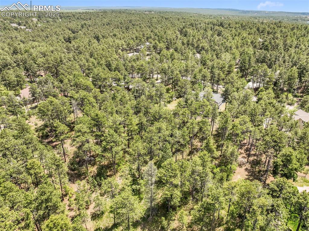 1180 Lone Scout Lookout Monument CO 80132