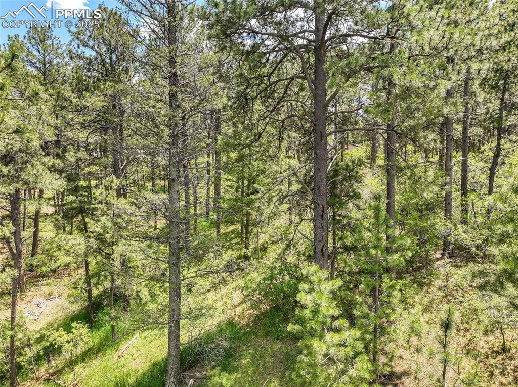 1180 Lone Scout Lookout Monument CO 80132