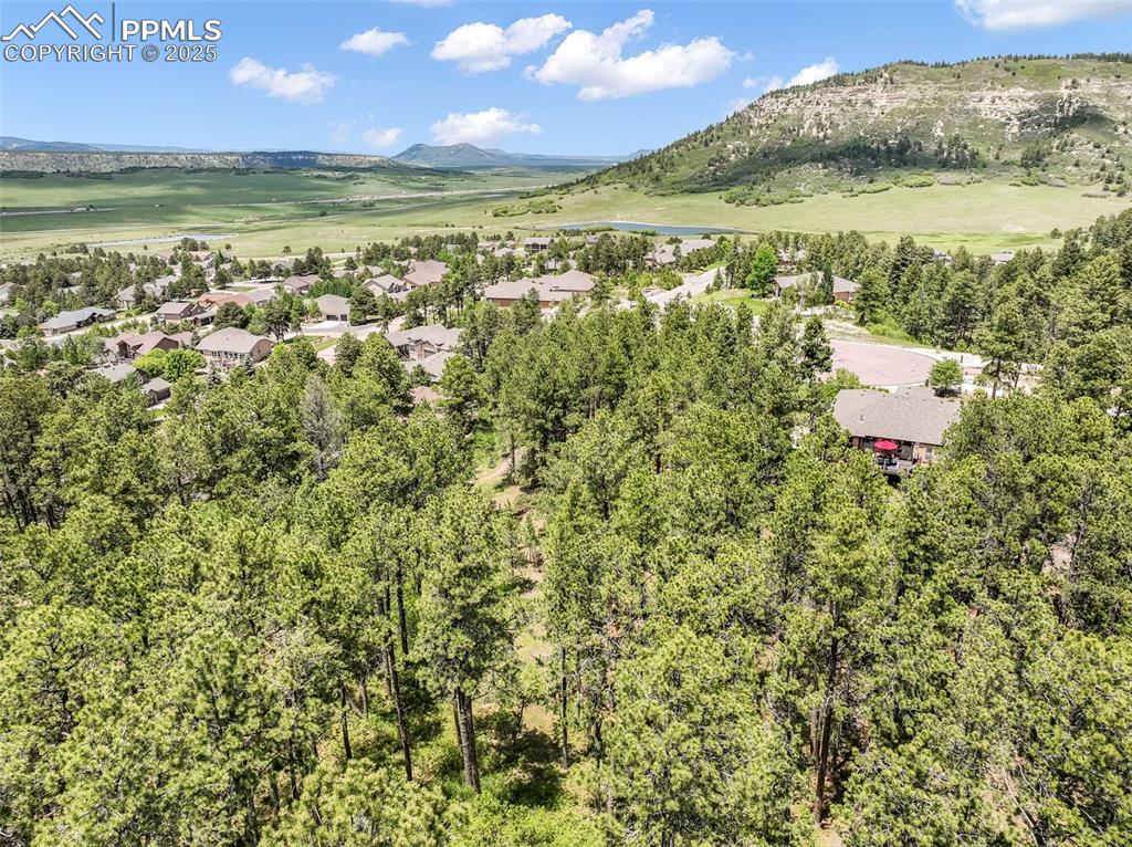 1180 Lone Scout Lookout Monument CO 80132