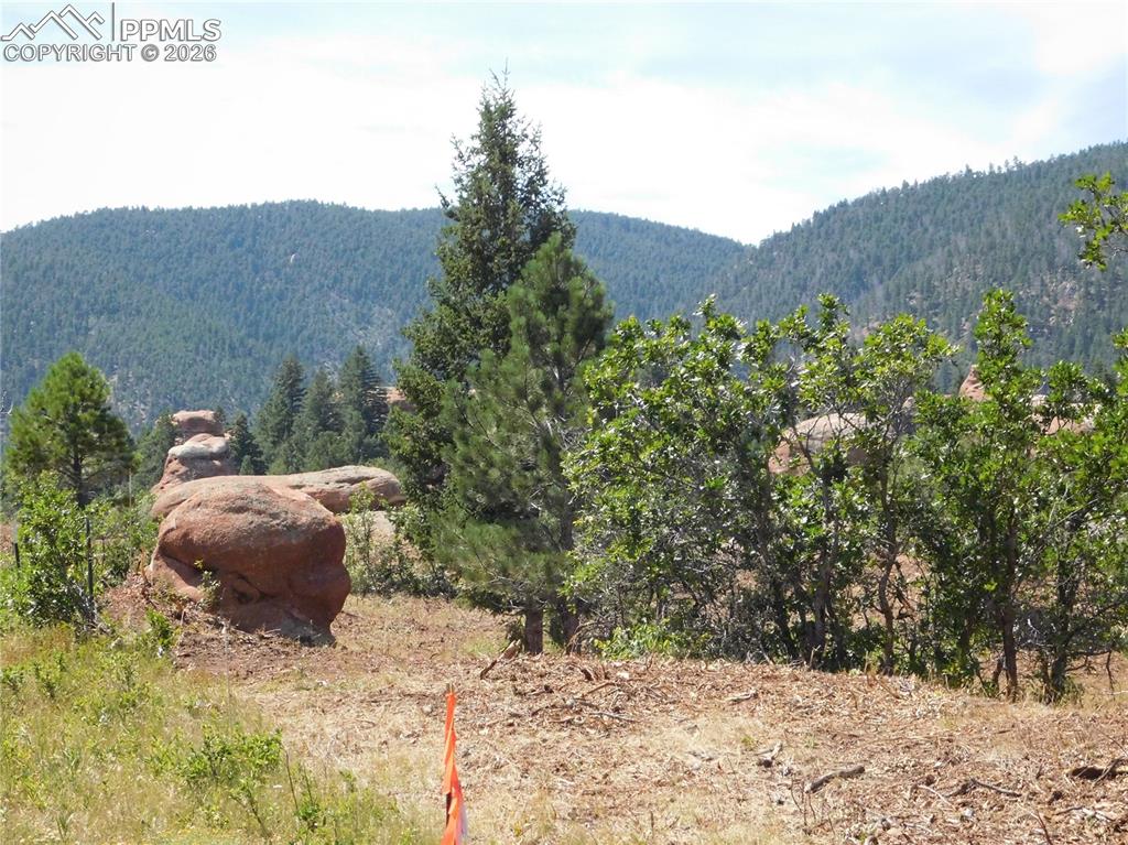 6382 Country Club Drive Larkspur CO 80118