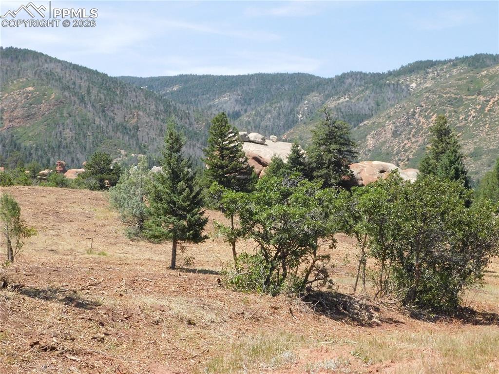 6382 Country Club Drive Larkspur CO 80118