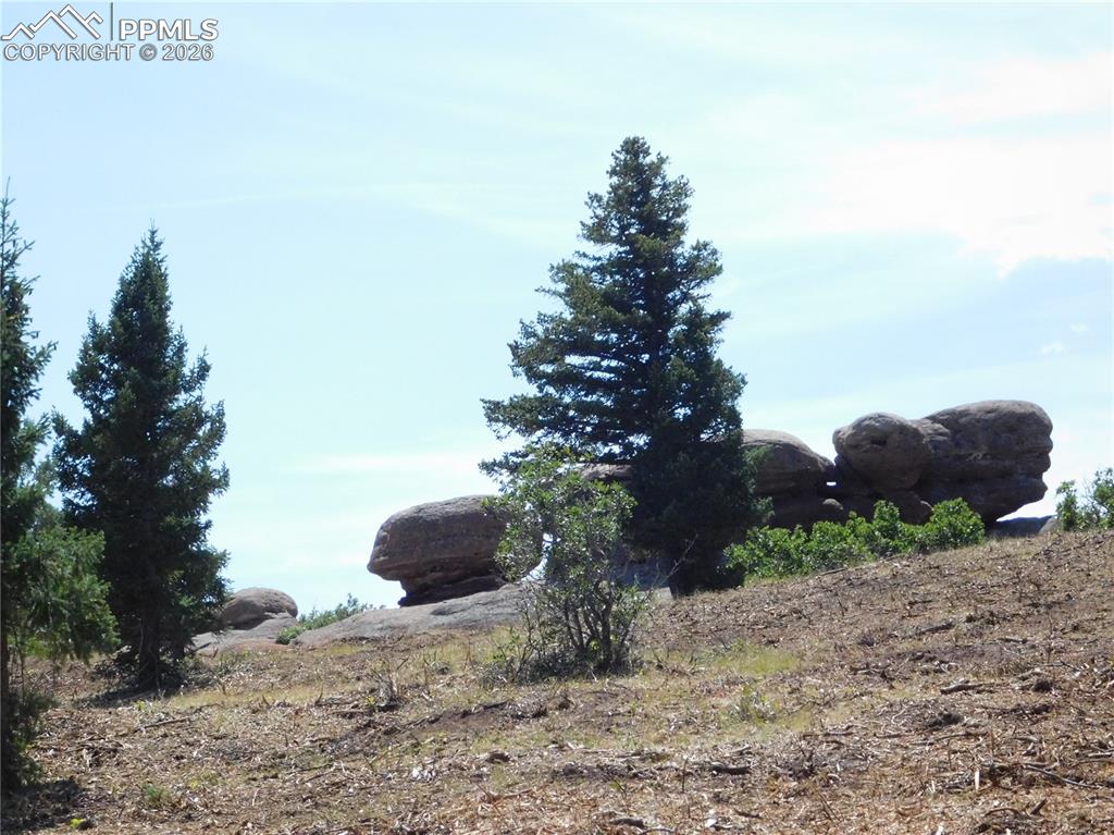 6382 Country Club Drive Larkspur CO 80118
