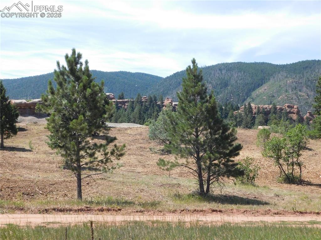 6382 Country Club Drive Larkspur CO 80118