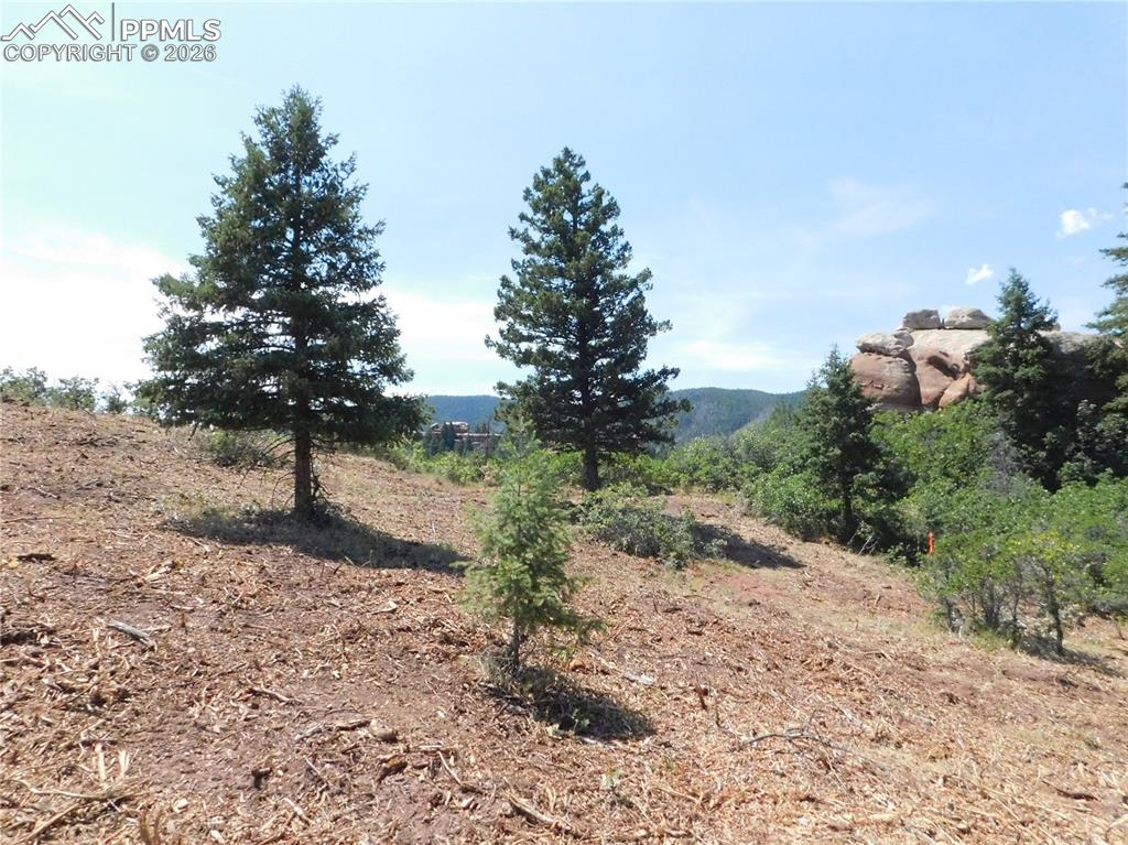 6382 Country Club Drive Larkspur CO 80118