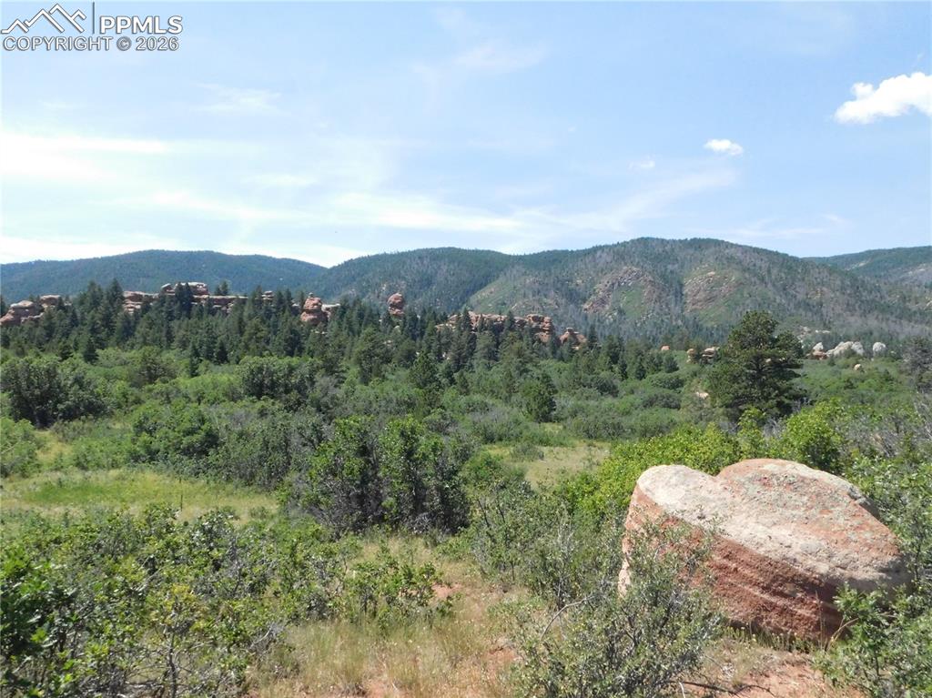 6382 Country Club Drive Larkspur CO 80118