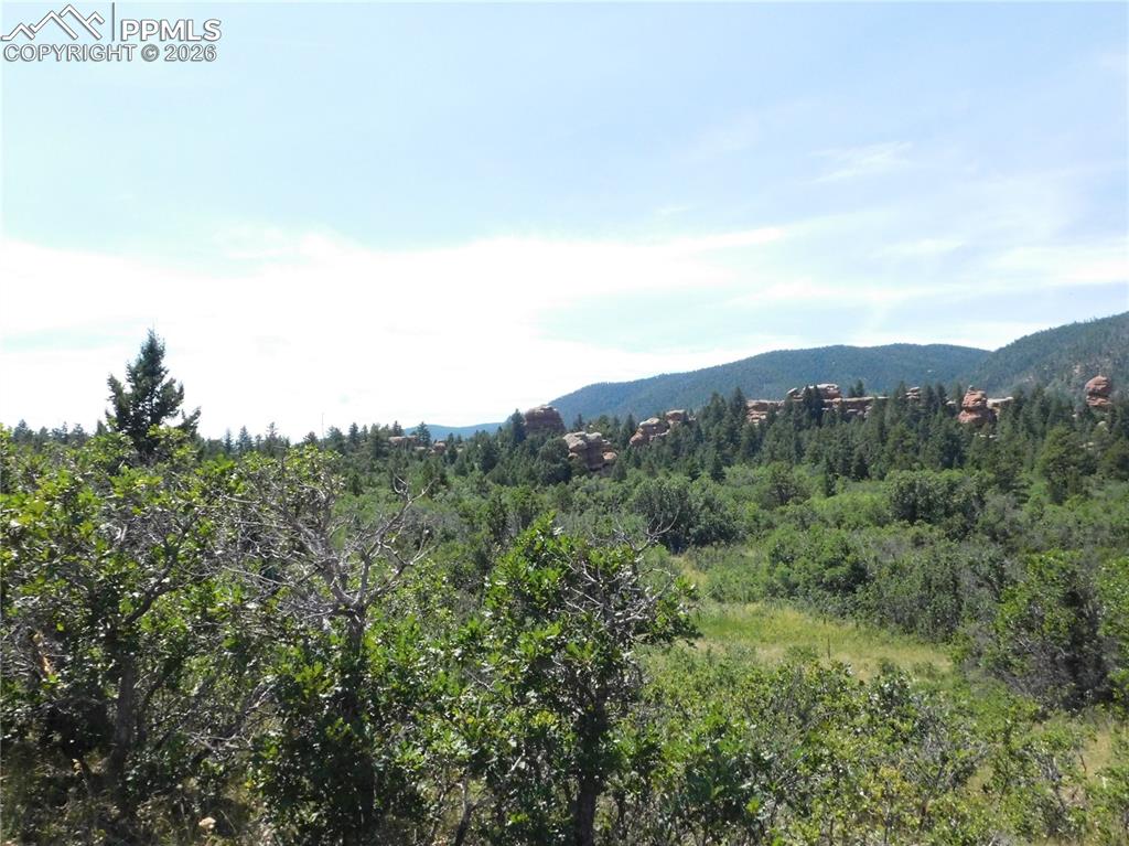 6382 Country Club Drive Larkspur CO 80118