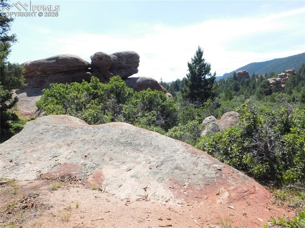 6382 Country Club Drive Larkspur CO 80118