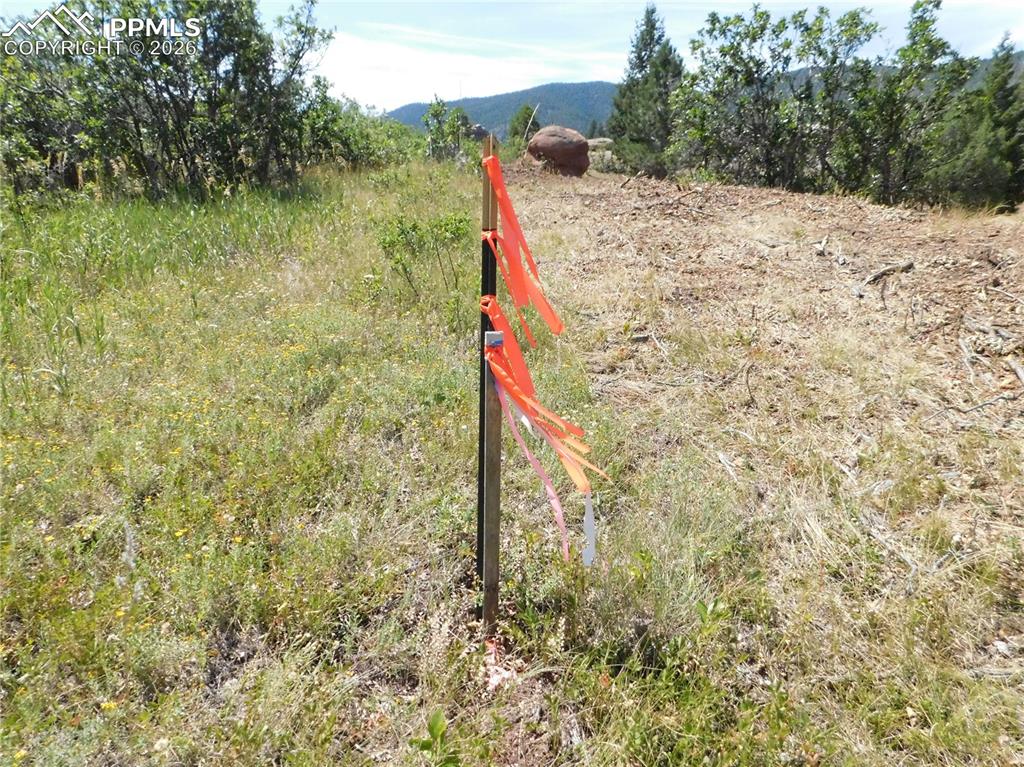 6382 Country Club Drive Larkspur CO 80118