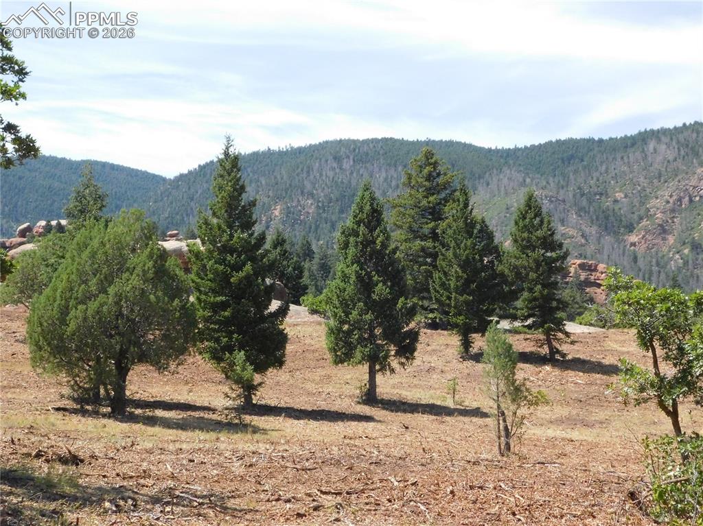 6382 Country Club Drive Larkspur CO 80118