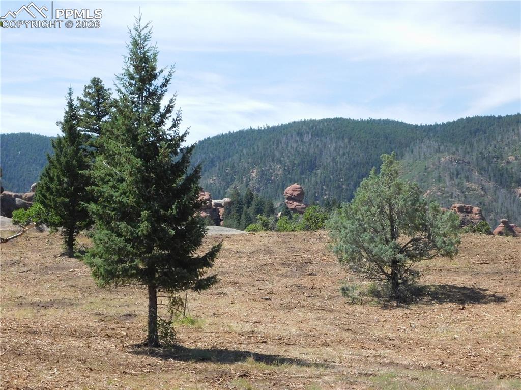6382 Country Club Drive Larkspur CO 80118