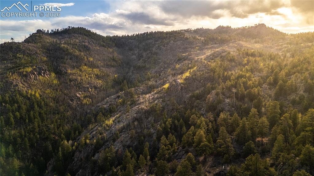 404 Valley Drive Florissant CO 80816