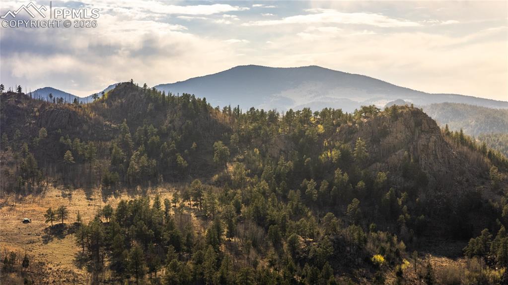 404 Valley Drive Florissant CO 80816