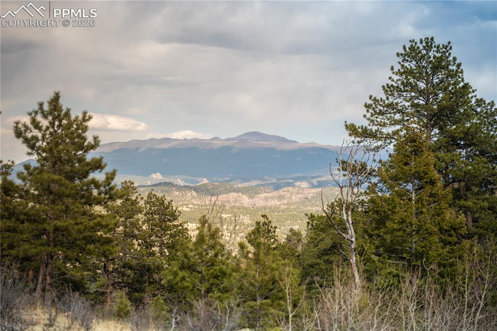 404 Valley Drive Florissant CO 80816